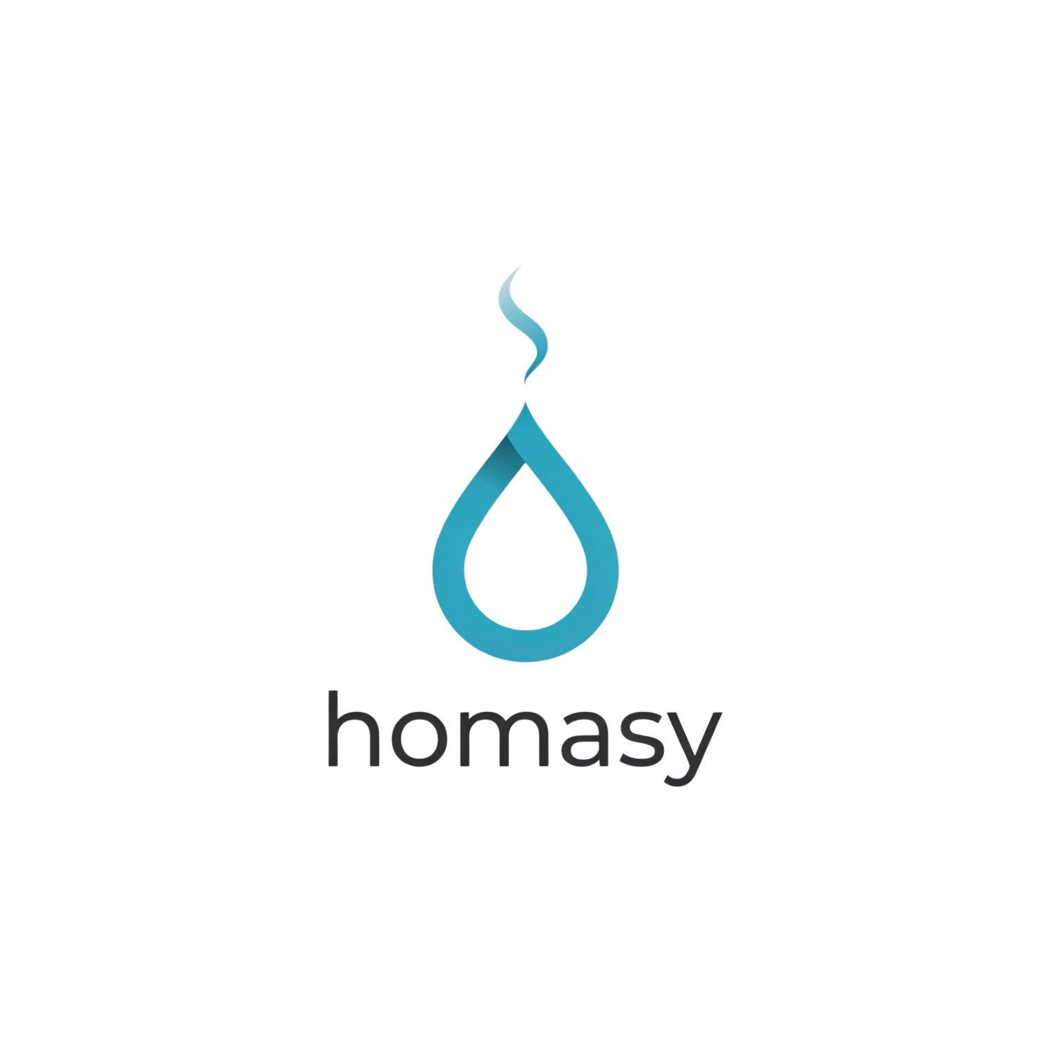 Homasy logo